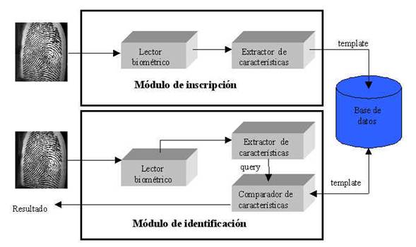 wpe1A.jpg (31083 bytes)