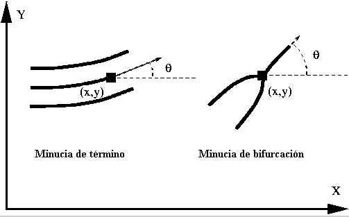 wpe16.jpg (13556 bytes)